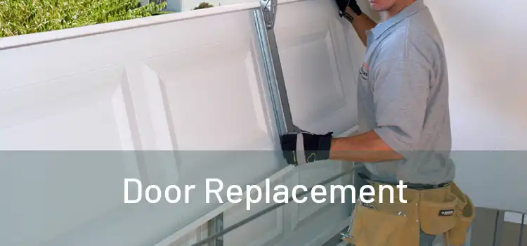  Door Replacement 